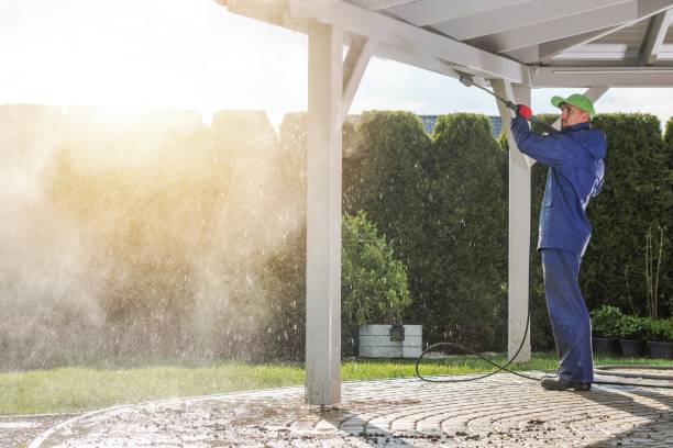 Solar Panel Cleaning in Royalton, MN