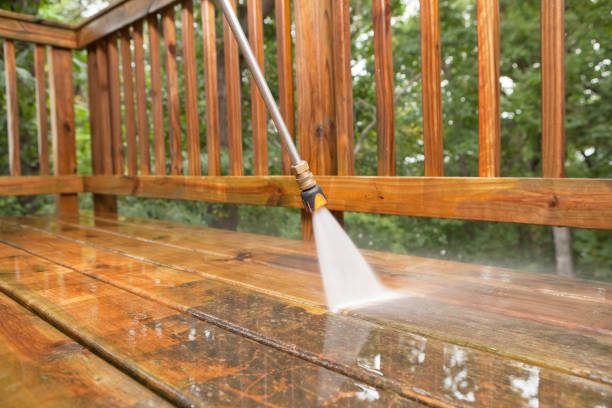 Best Driveway Pressure Washing  in Royalton, MN